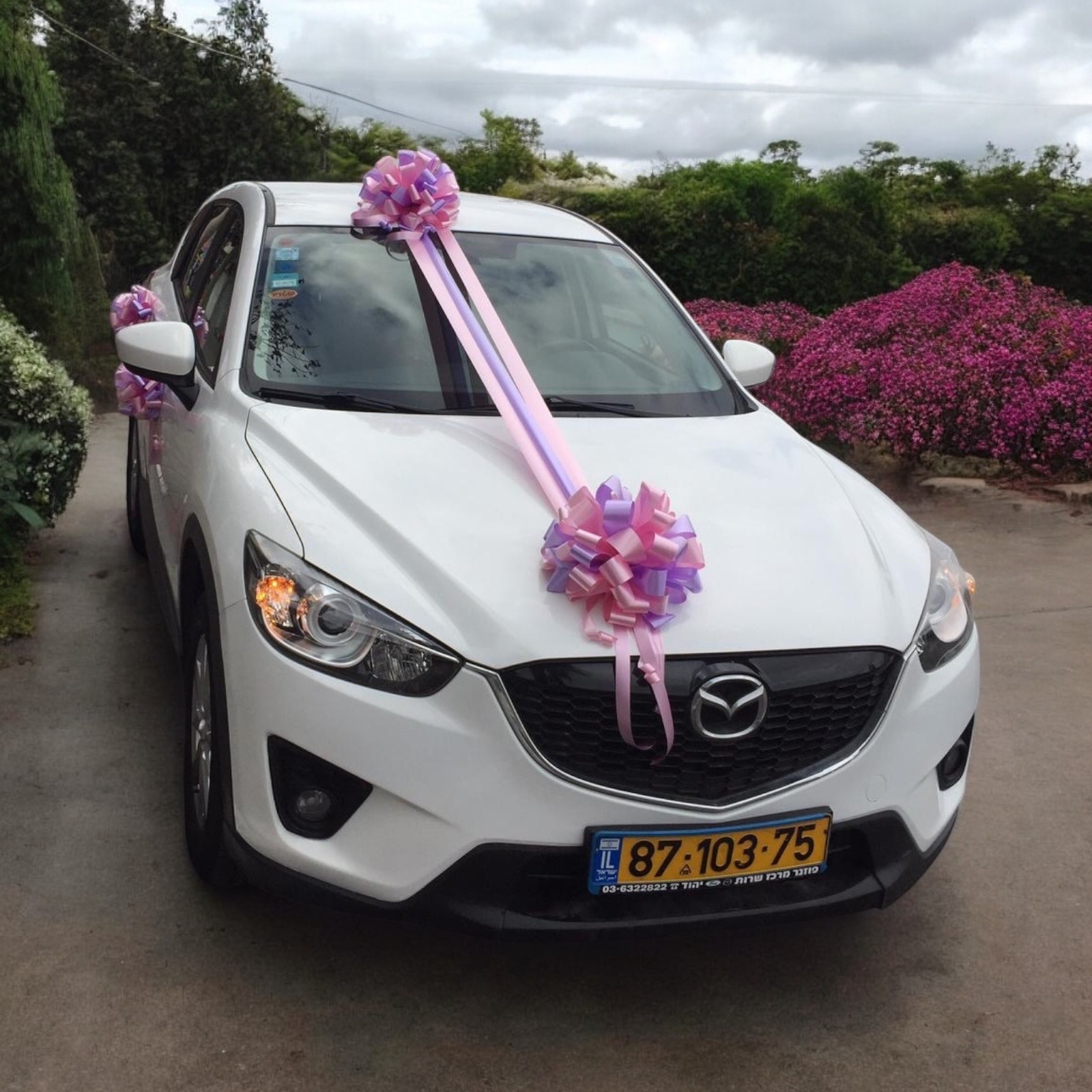 קישוט רכב 11