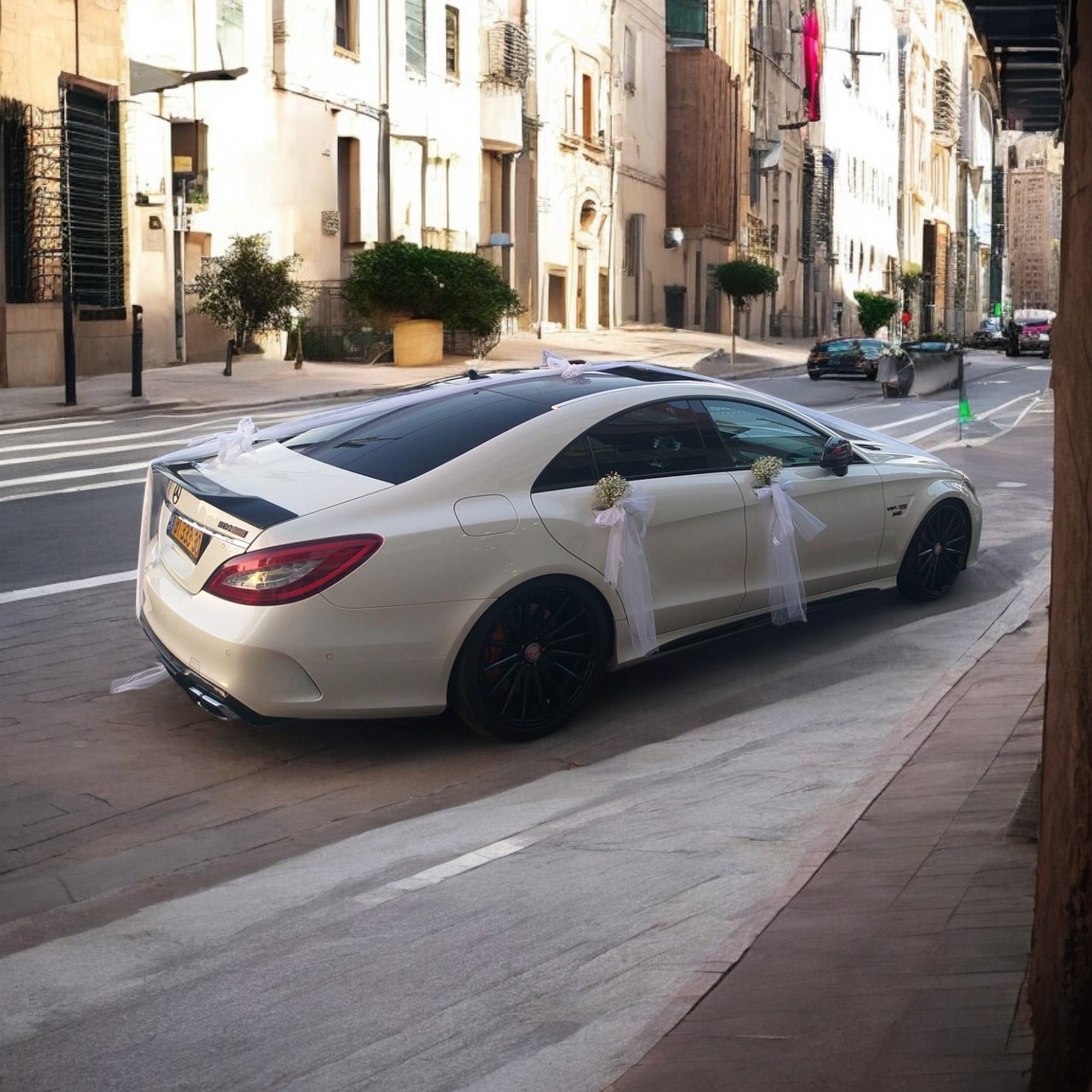 קישוט רכב 12