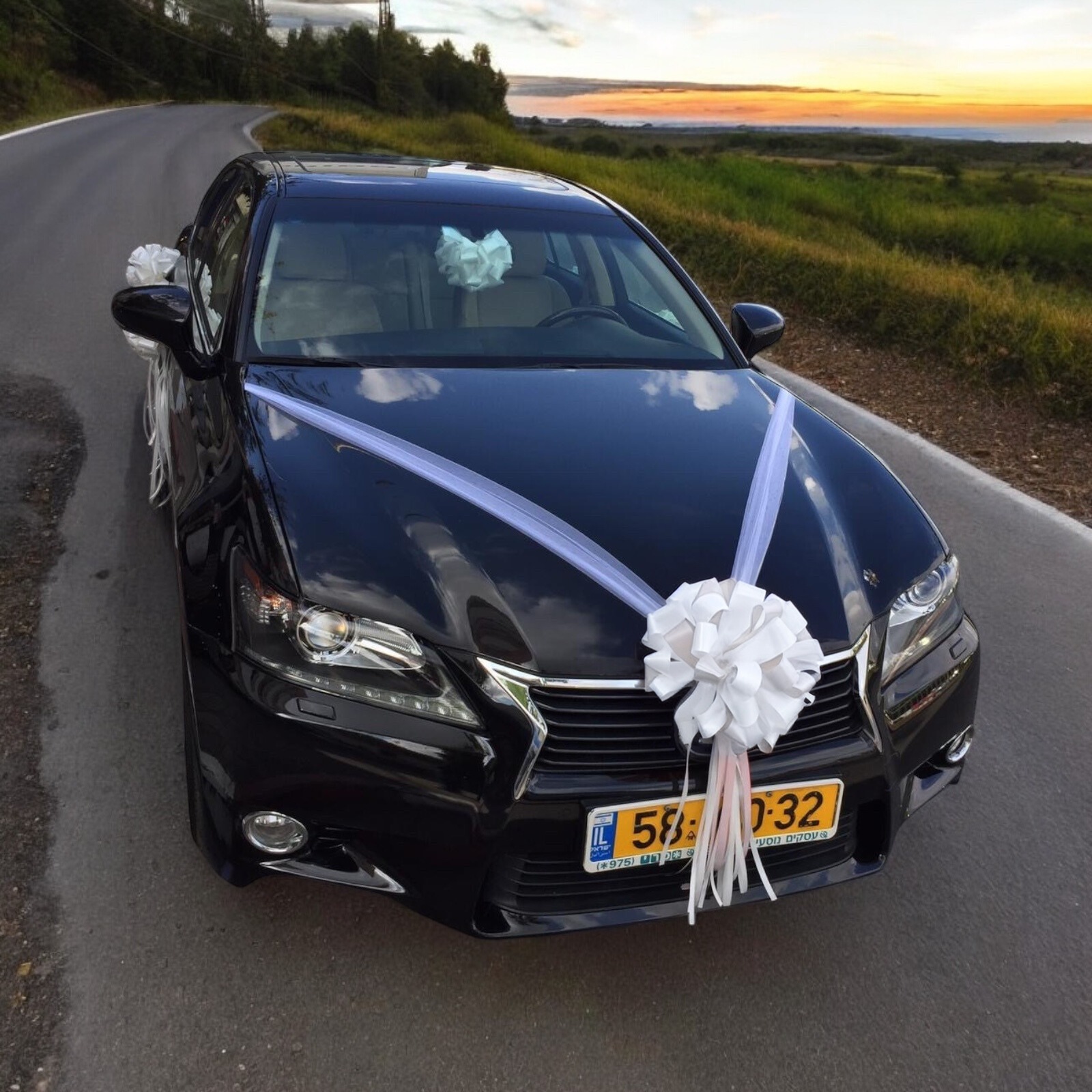 קישוט רכב 13