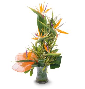 סידור פרחים מגע הקסם –סידור פרחים מעוצב ומסוגנן - פרחי עירית, משלוחי פרחים וחנויות פרחים בתפוצה ארצית